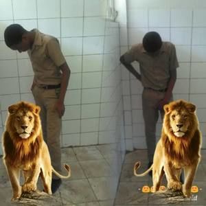 Meet your Posher, Kadian